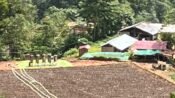 Lokasi tambang diduga ilegal di wilayah Limpoga. Terlihat alat berat sedang mengelola material yang mengandung emas.