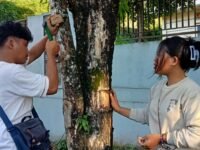 KMPA Tansa dan PPAB Everest memperingati Hari Pohon Sedunia dengan aksi cabut paku dari pepohonan di Manado. Puluhan pencinta alam terlibat menjaga kelestarian lingkungan dan menyelamatkan pohon dari kerusakan.